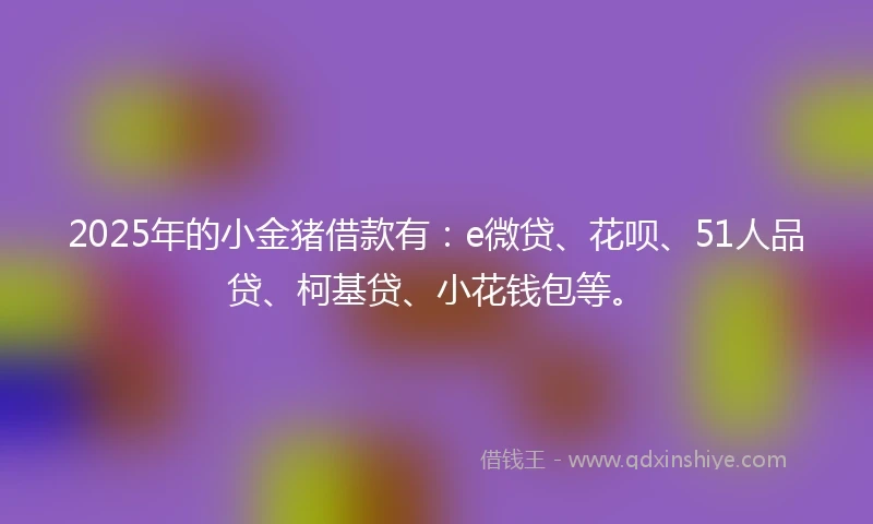 2025年的小金猪借款有：e微贷、花呗、51人品贷、柯基贷、小花钱包等。