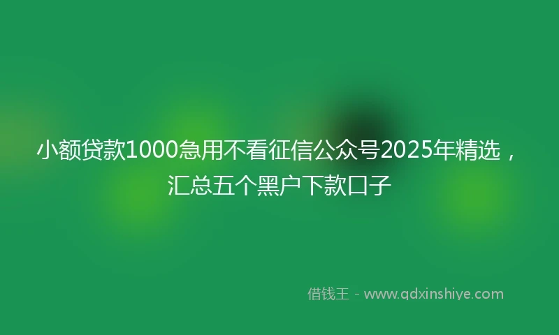 小额贷款1000急用不看征信公众号2025年精选，汇总五个黑户下款口子