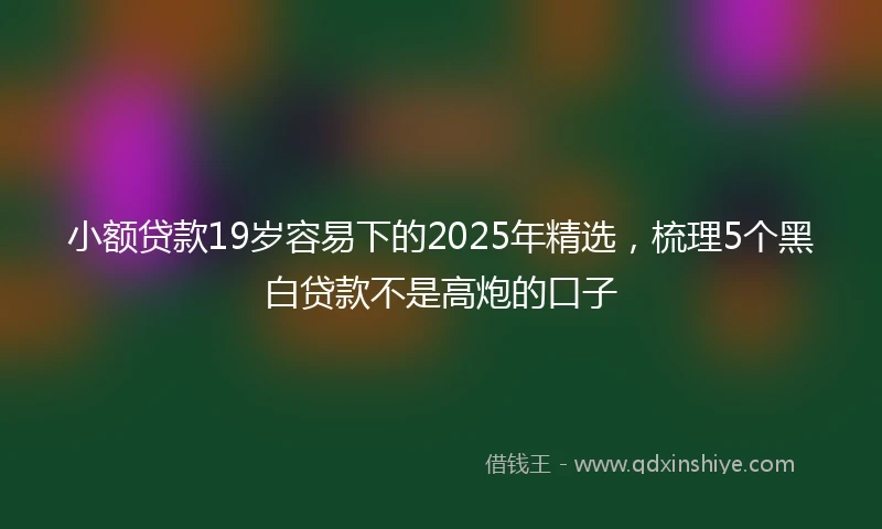 小额贷款19岁容易下的2025年精选，梳理5个黑白贷款不是高炮的口子