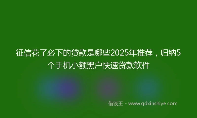 征信花了必下的贷款是哪些2025年推荐，归纳5个手机小额黑户快速贷款软件