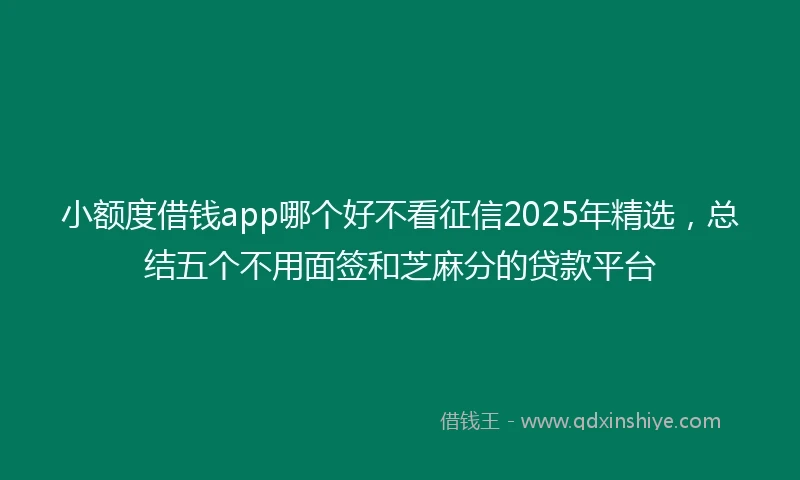小额度借钱app哪个好不看征信2025年精选，总结五个不用面签和芝麻分的贷款平台