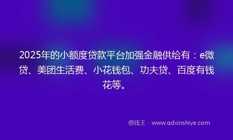 2025年的小额度贷款平台加强金融供给有：e微贷、美团生活费、小花钱包、功夫贷、百度有钱花等。