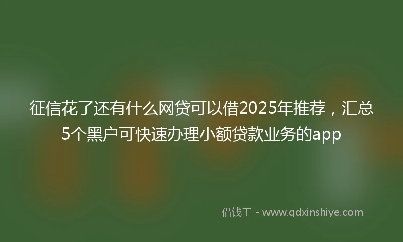征信花了还有什么网贷可以借2025年推荐,汇总5个黑户可快速办理小额贷款业务的app