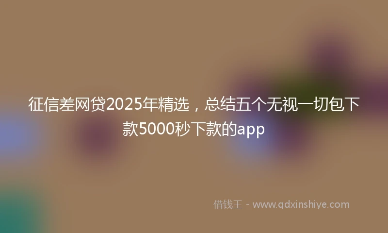 征信差网贷2025年精选，总结五个无视一切包下款5000秒下款的app