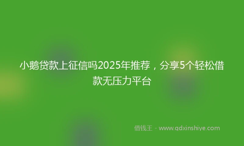 小鹅贷款上征信吗2025年推荐，分享5个轻松借款无压力平台