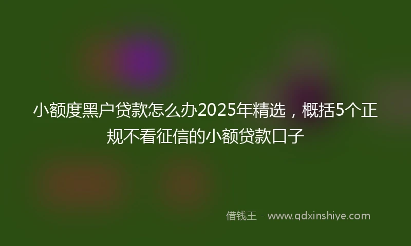 小额度黑户贷款怎么办2025年精选，概括5个正规不看征信的小额贷款口子