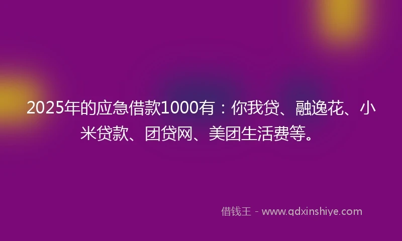 2025年的应急借款1000有：你我贷、融逸花、小米贷款、团贷网、美团生活费等。