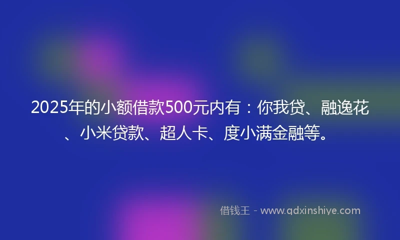 2025年的小额借款500元内有：你我贷、融逸花、小米贷款、超人卡、度小满金融等。