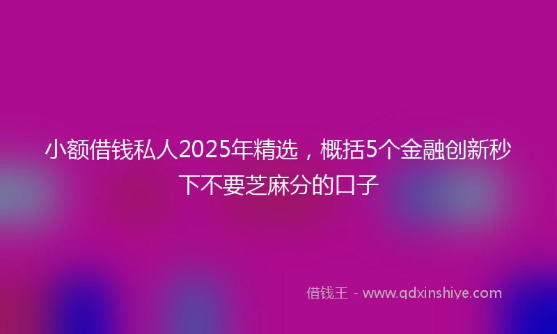 小额借钱私人2025年精选，概括5个金融创新秒下不要芝麻分的口子