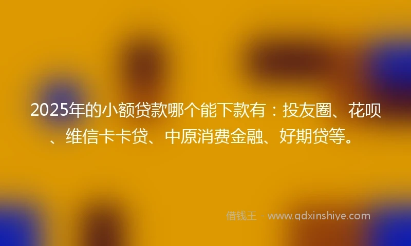 2025年的小额贷款哪个能下款有：投友圈、花呗、维信卡卡贷、中原消费金融、好期贷等。