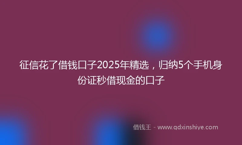 征信花了借钱口子2025年精选，归纳5个手机身份证秒借现金的口子