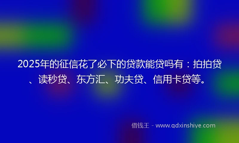2025年的征信花了必下的贷款能贷吗有：拍拍贷、读秒贷、东方汇、功夫贷、信用卡贷等。