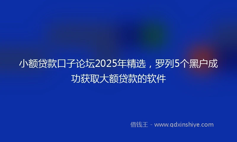 小额贷款口子论坛2025年精选，罗列5个黑户成功获取大额贷款的软件