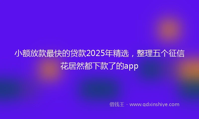 小额放款最快的贷款2025年精选，整理五个征信花居然都下款了的app
