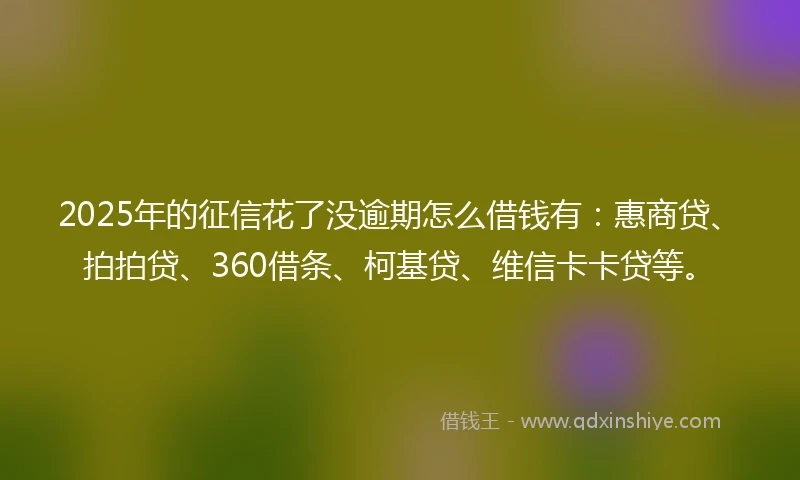 2025年的征信花了没逾期怎么借钱有:惠商贷、拍拍贷、360借条、柯基贷、维信卡卡贷等。