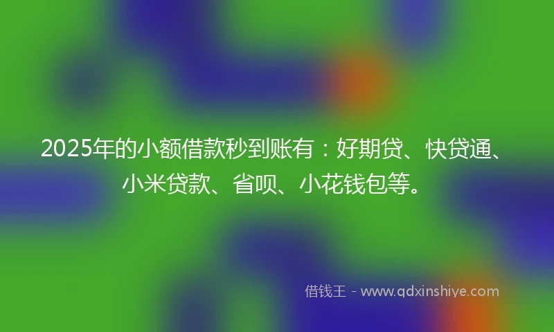 2025年的小额借款秒到账有：好期贷、快贷通、小米贷款、省呗、小花钱包等。