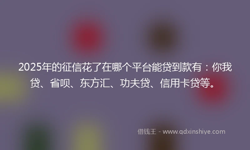2025年的征信花了在哪个平台能贷到款有：你我贷、省呗、东方汇、功夫贷、信用卡贷等。