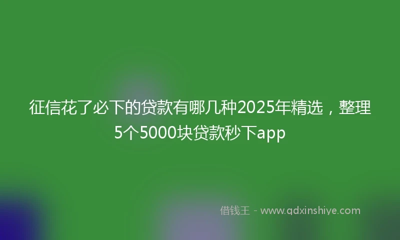 征信花了必下的贷款有哪几种2025年精选，整理5个5000块贷款秒下app
