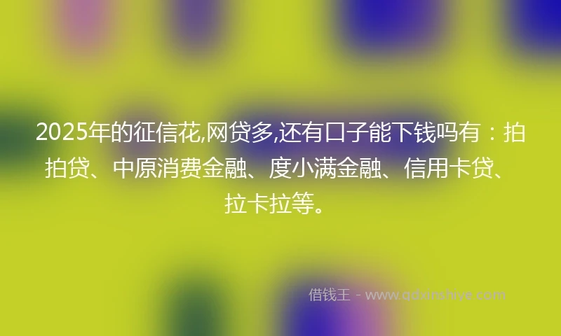 2025年的征信花,网贷多,还有口子能下钱吗有：拍拍贷、中原消费金融、度小满金融、信用卡贷、拉卡拉等。