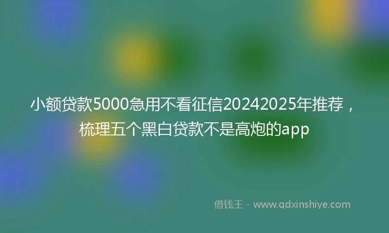 小额贷款5000急用不看征信20242025年推荐，梳理五个黑白贷款不是高炮的app