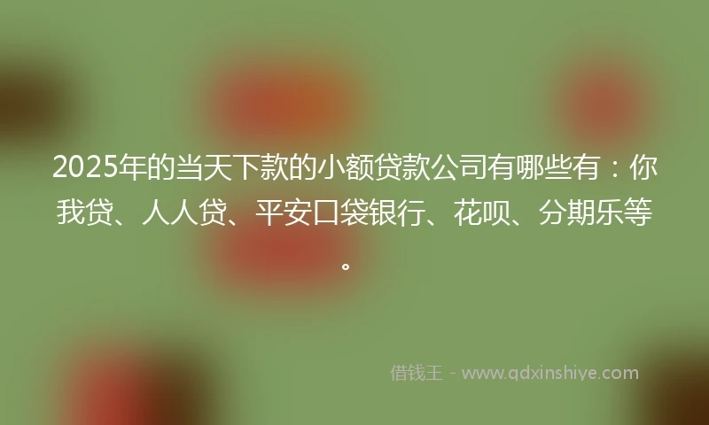 2025年的当天下款的小额贷款公司有哪些有：你我贷、人人贷、平安口袋银行、花呗、分期乐等。