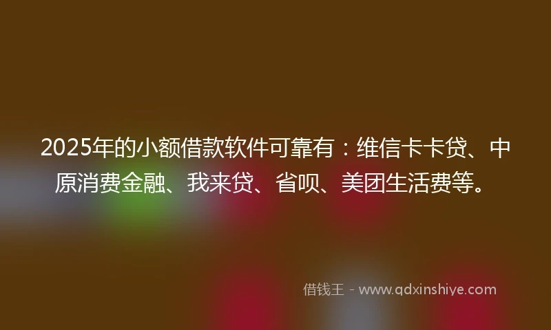 2025年的小额借款软件可靠有：维信卡卡贷、中原消费金融、我来贷、省呗、美团生活费等。