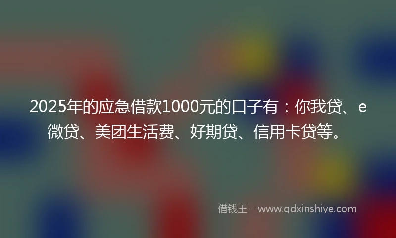 2025年的应急借款1000元的口子有：你我贷、e微贷、美团生活费、好期贷、信用卡贷等。