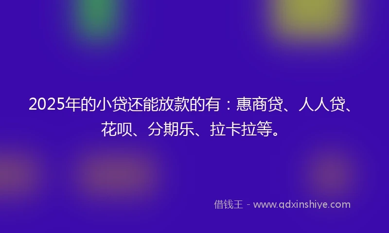 2025年的小贷还能放款的有：惠商贷、人人贷、花呗、分期乐、拉卡拉等。