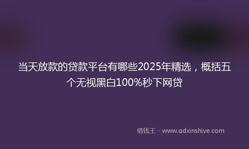 当天放款的贷款平台有哪些2025年精选，概括五个无视黑白100%秒下网贷
