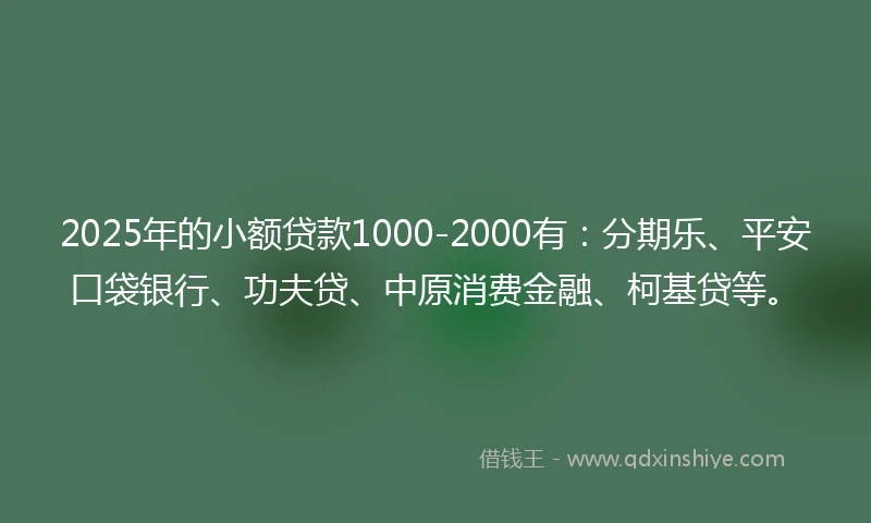 2025年的小额贷款1000-2000有：分期乐、平安口袋银行、功夫贷、中原消费金融、柯基贷等。