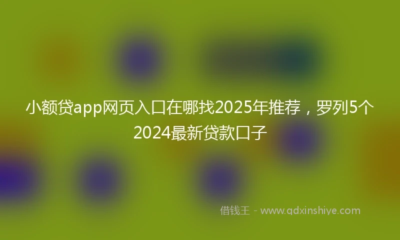 小额贷app网页入口在哪找2025年推荐，罗列5个2024最新贷款口子