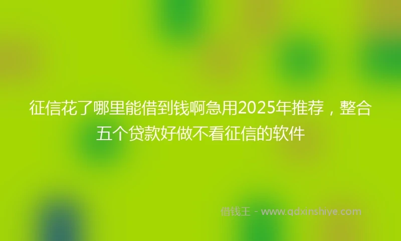 征信花了哪里能借到钱啊急用2025年推荐，整合五个贷款好做不看征信的软件