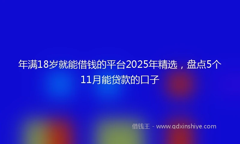 年满18岁就能借钱的平台2025年精选，盘点5个11月能贷款的口子