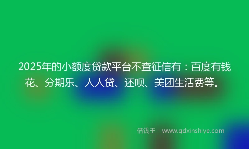 2025年的小额度贷款平台不查征信有：百度有钱花、分期乐、人人贷、还呗、美团生活费等。