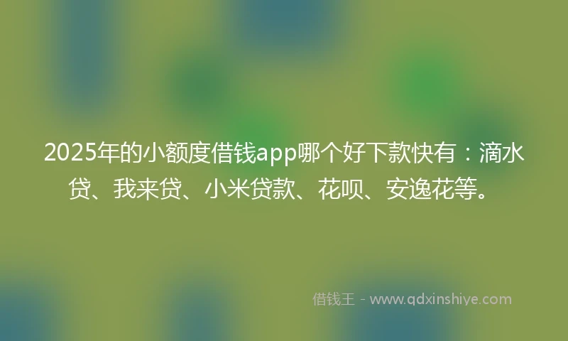 2025年的小额度借钱app哪个好下款快有：滴水贷、我来贷、小米贷款、花呗、安逸花等。