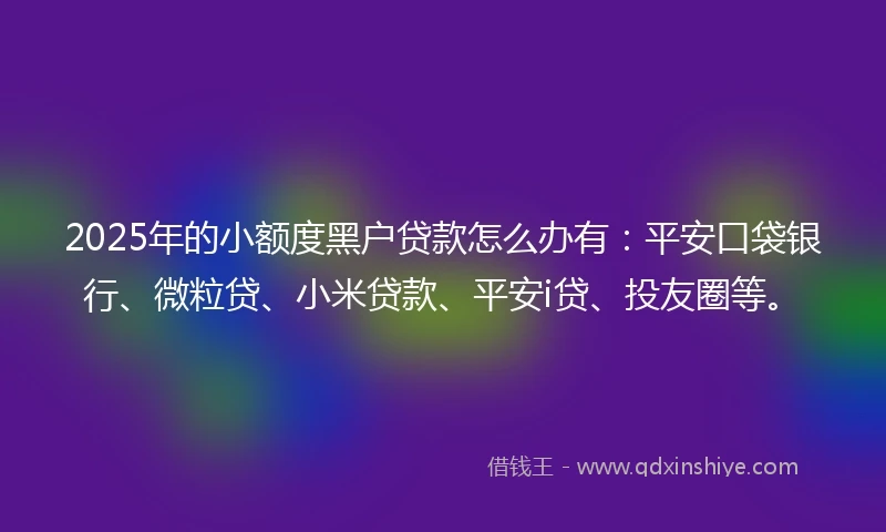 2025年的小额度黑户贷款怎么办有：平安口袋银行、微粒贷、小米贷款、平安i贷、投友圈等。