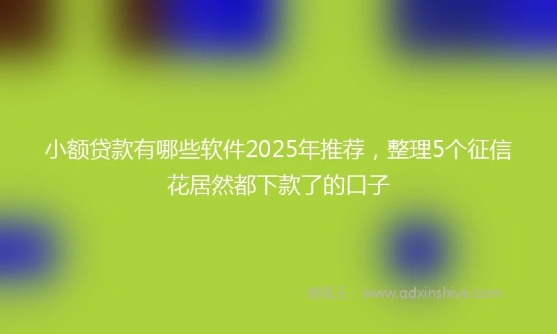 小额贷款有哪些软件2025年推荐，整理5个征信花居然都下款了的口子