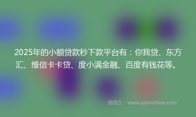 2025年的小额贷款秒下款平台有：你我贷、东方汇、维信卡卡贷、度小满金融、百度有钱花等。
