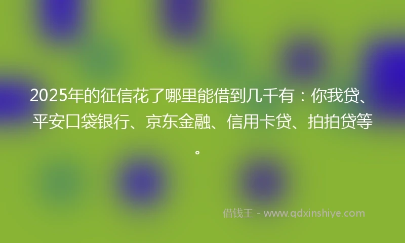 2025年的征信花了哪里能借到几千有：你我贷、平安口袋银行、京东金融、信用卡贷、拍拍贷等。