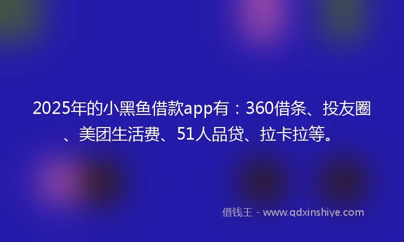 2025年的小黑鱼借款app有：360借条、投友圈、美团生活费、51人品贷、拉卡拉等。