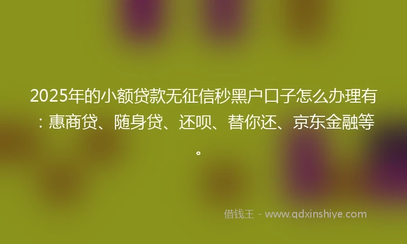 2025年的小额贷款无征信秒黑户口子怎么办理有：惠商贷、随身贷、还呗、替你还、京东金融等。