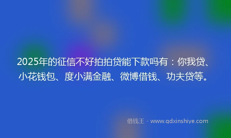 2025年的征信不好拍拍贷能下款吗有：你我贷、小花钱包、度小满金融、微博借钱、功夫贷等。