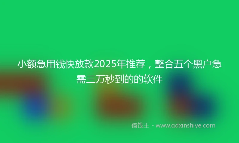 小额急用钱快放款2025年推荐，整合五个黑户急需三万秒到的的软件