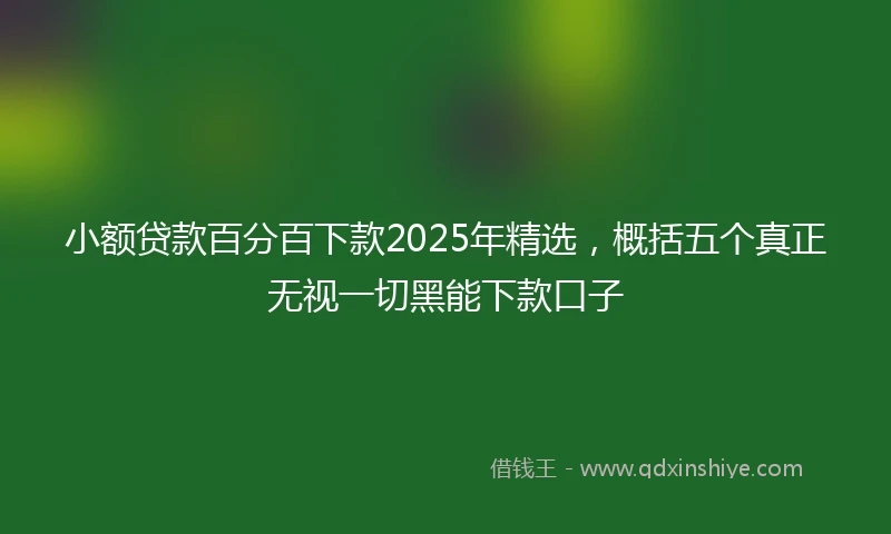 小额贷款百分百下款2025年精选，概括五个真正无视一切黑能下款口子