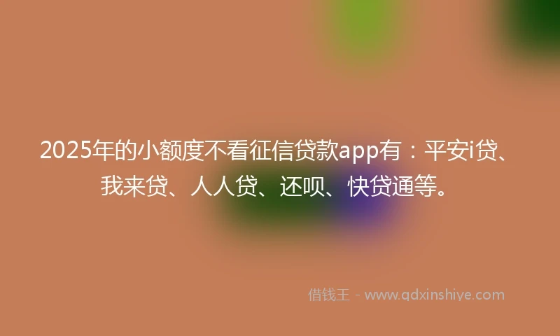 2025年的小额度不看征信贷款app有：平安i贷、我来贷、人人贷、还呗、快贷通等。