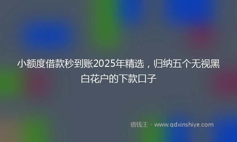 小额度借款秒到账2025年精选，归纳五个无视黑白花户的下款口子