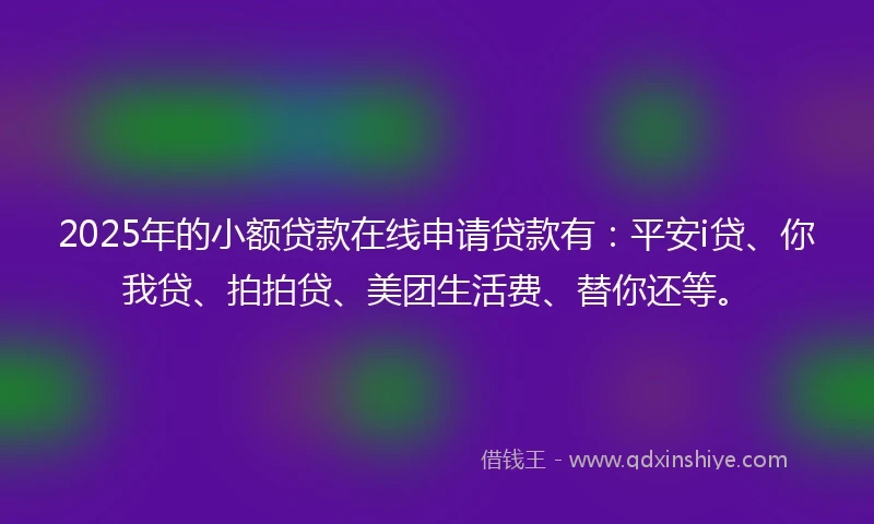 2025年的小额贷款在线申请贷款有：平安i贷、你我贷、拍拍贷、美团生活费、替你还等。