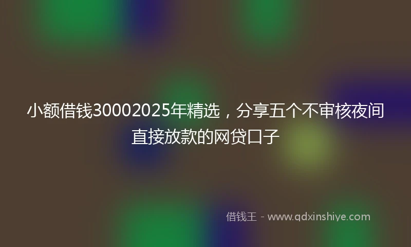 小额借钱30002025年精选，分享五个不审核夜间直接放款的网贷口子