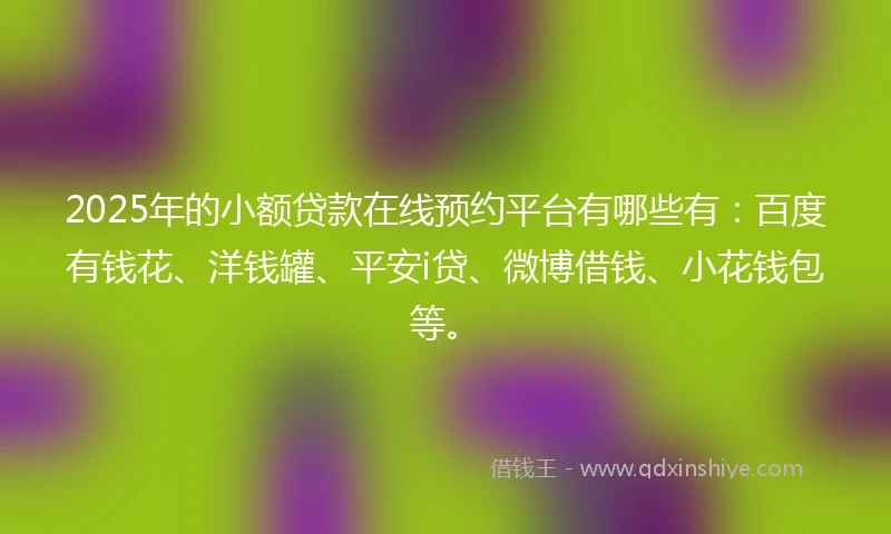 2025年的小额贷款在线预约平台有哪些有：百度有钱花、洋钱罐、平安i贷、微博借钱、小花钱包等。
