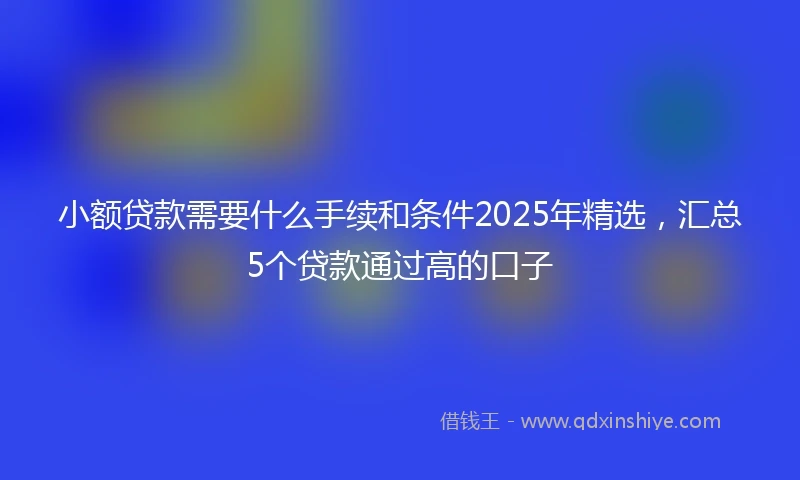 小额贷款需要什么手续和条件2025年精选，汇总5个贷款通过高的口子